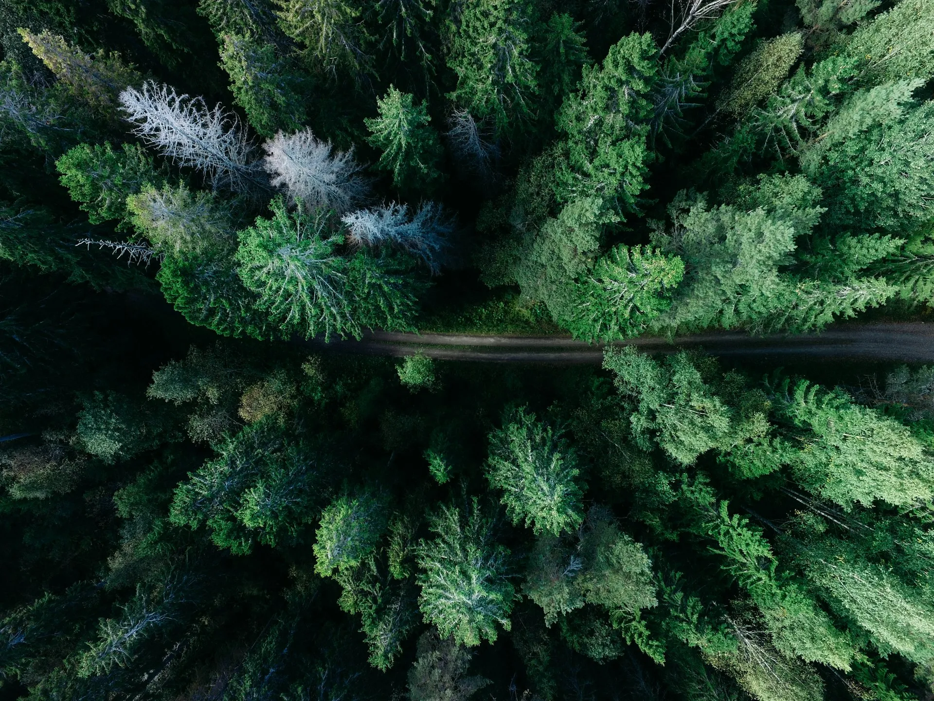 UK landscape